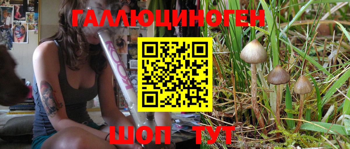 Псилоцибиновые грибы Psilocybe  Галлюциногенные грибы MAGIC MUSHROOMS  Вход с VPN  Учалы 